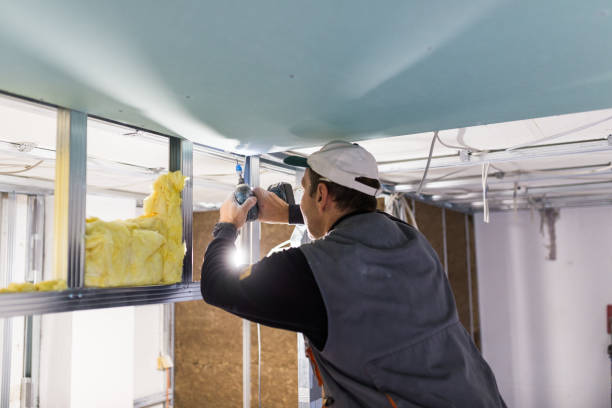 Best Affordable Insulation Services  in Mount Pleasant, IA